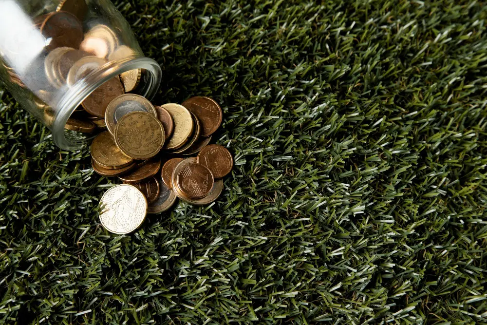 How Blinds Can Help You Save Money Throughout the Year