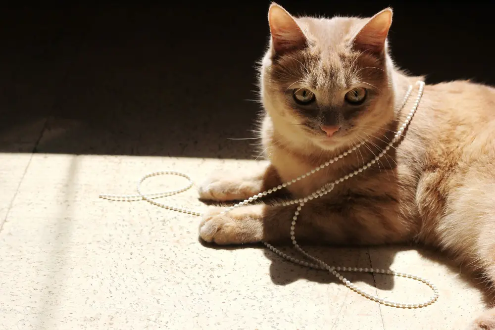 7 Signs That It’s Time to Replace Your Window Treatments