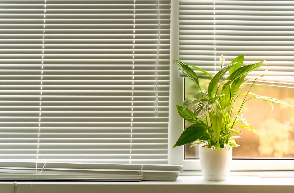 6 Advantages of Using Metal Blinds in Your Home
