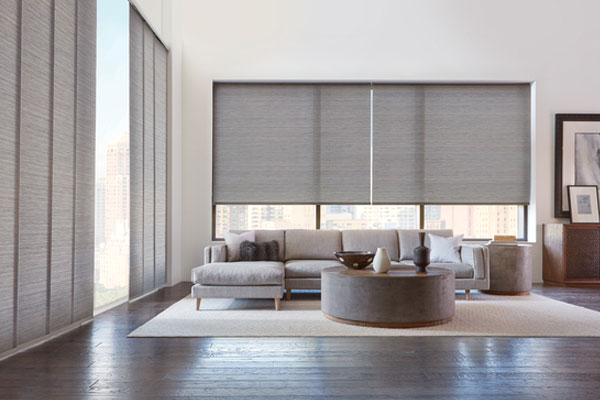 Roller shades in a home